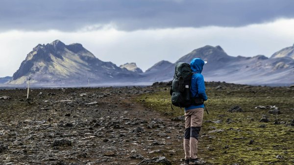 Comment planifier une visite des vignobles de la Vallée de Douro au Portugal en automne?