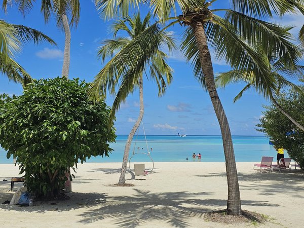 Où trouver une location de vacances en Provence avec des ateliers de poterie et des visites de vignobles?